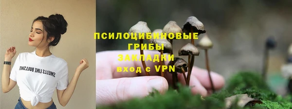 соль курить ск Арсеньев