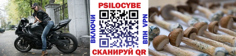 Галлюциногенные грибы мицелий  Кашин 